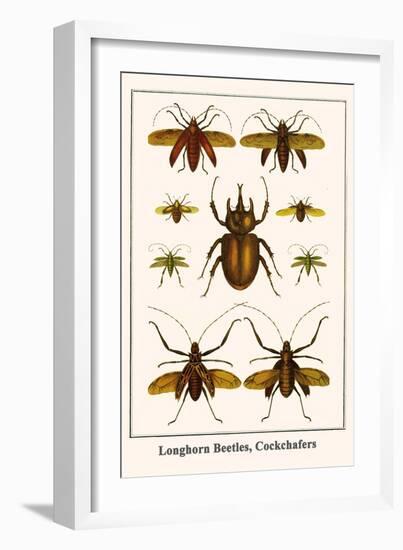 Longhorn Beetles, Cockchafers-Albertus Seba-Framed Art Print