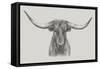 Longhorn Bull-null-Framed Stretched Canvas