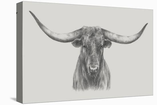 Longhorn Bull-null-Stretched Canvas