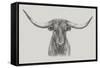 Longhorn Bull-null-Framed Stretched Canvas