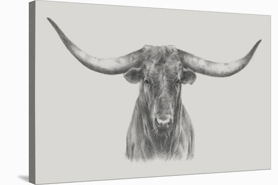 Longhorn Bull-null-Stretched Canvas