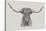 Longhorn Bull-null-Stretched Canvas