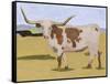Longhorn Cattle I-Melissa Wang-Framed Stretched Canvas