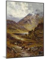 Longhorn Cattle in a Mountainous Landscape, 1892-Alfred Augustus Glendening-Mounted Giclee Print