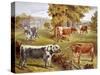 Longhorn Cattle Owned by Sir John Harpur-Crewe, Calke Abbey, 1885-null-Stretched Canvas