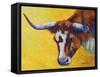 Longhorn Cow Study-Marion Rose-Framed Stretched Canvas