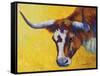 Longhorn Cow Study-Marion Rose-Framed Stretched Canvas