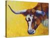 Longhorn Cow Study-Marion Rose-Stretched Canvas