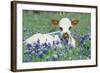 Longhorn Cow-null-Framed Photographic Print