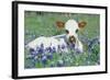 Longhorn Cow-null-Framed Photographic Print