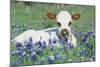 Longhorn Cow-null-Mounted Photographic Print