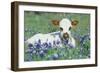 Longhorn Cow-null-Framed Photographic Print