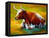 Longhorn Cow-Marion Rose-Framed Stretched Canvas
