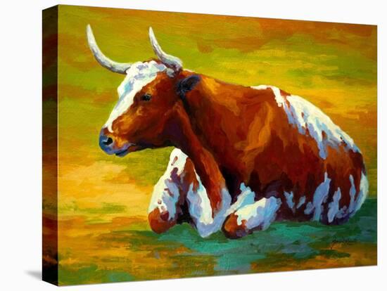 Longhorn Cow-Marion Rose-Stretched Canvas