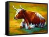 Longhorn Cow-Marion Rose-Framed Stretched Canvas