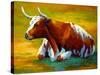 Longhorn Cow-Marion Rose-Stretched Canvas