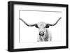 Longhorn Gaze-null-Framed Photographic Print