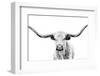 Longhorn Gaze-null-Framed Photographic Print