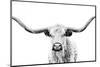 Longhorn Gaze-null-Mounted Photographic Print