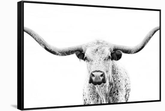 Longhorn Gaze-null-Framed Stretched Canvas