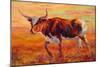 Longhorn Heifer-Marion Rose-Mounted Giclee Print