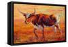 Longhorn Heifer-Marion Rose-Framed Stretched Canvas