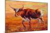 Longhorn Heifer-Marion Rose-Mounted Giclee Print