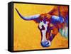 Longhorn Portrait-Marion Rose-Framed Stretched Canvas