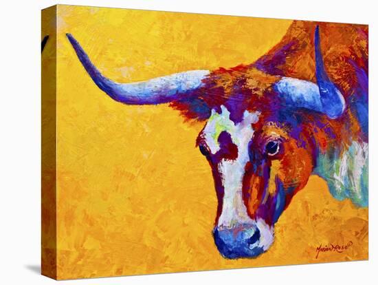 Longhorn Portrait-Marion Rose-Stretched Canvas