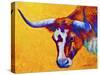 Longhorn Portrait-Marion Rose-Stretched Canvas