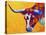 Longhorn Portrait-Marion Rose-Stretched Canvas