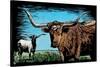 Longhorn - Scratchboard-Lantern Press-Stretched Canvas