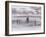 Longhorn Steer, CO-Chris Rogers-Framed Premium Photographic Print