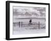 Longhorn Steer, CO-Chris Rogers-Framed Photographic Print
