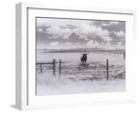 Longhorn Steer, CO-Chris Rogers-Framed Photographic Print