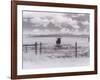 Longhorn Steer, CO-Chris Rogers-Framed Photographic Print