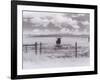 Longhorn Steer, CO-Chris Rogers-Framed Photographic Print