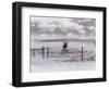 Longhorn Steer, CO-Chris Rogers-Framed Photographic Print