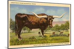 Longhorn Steer, Rockdale, Texas-null-Mounted Art Print