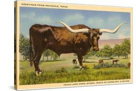 Longhorn Steer, Rockdale, Texas-null-Stretched Canvas