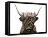 Longhorn with Rose Crown-Yvette St. Amant-Framed Stretched Canvas