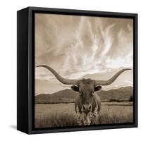 Longhorn-THE Studio-Framed Stretched Canvas