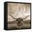 Longhorn-THE Studio-Framed Stretched Canvas