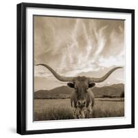 Longhorn-THE Studio-Framed Giclee Print