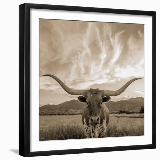 Longhorn-THE Studio-Framed Giclee Print