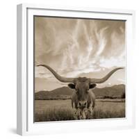 Longhorn-THE Studio-Framed Giclee Print