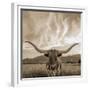 Longhorn-THE Studio-Framed Giclee Print