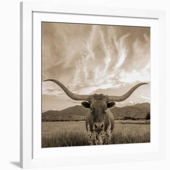 Longhorn-THE Studio-Framed Giclee Print