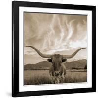 Longhorn-THE Studio-Framed Giclee Print