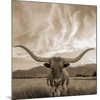 Longhorn-THE Studio-Mounted Giclee Print